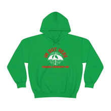 Load image into Gallery viewer, I&#39;m Out Here Dodging Rain Drops Mo! Umbrella Edition Unisex Heavy Blend™ Hoodie Sweater

